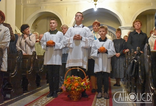 images/previews/news/2023/10/16391/p-2023-10-05-Ivje-20231004-018-cb.jpg